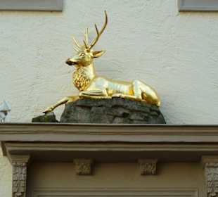 Hirsch-Apotheke - Der vergoldete Hirsch
