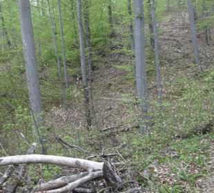 Wanderweg Firstwaldrunde