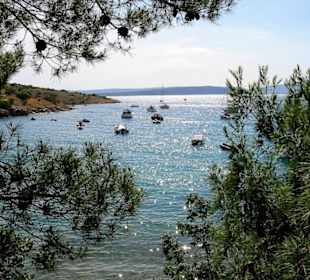 Kroatien / Insel Krk / Punat