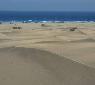 Dünenlandschaft
