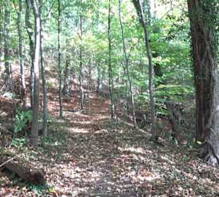 Premiumwanderweg hochgehkeltert Neuffen
