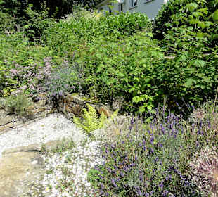 Blüten- und Duftpracht im Sinnesgarten Lopshof