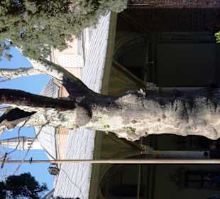 Der Topkapi-Palast Super