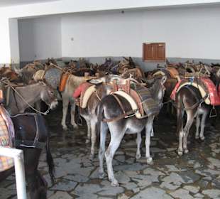 Transportesel