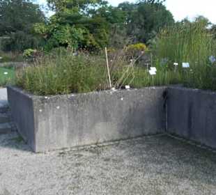 Schmuckhof Botanischer Garten