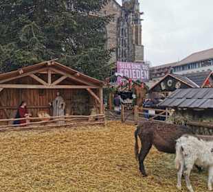 Ulmer Weihnachtsmarkt 2019