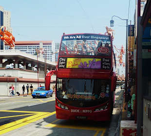 Hop on-Hop off Bus-Singapur