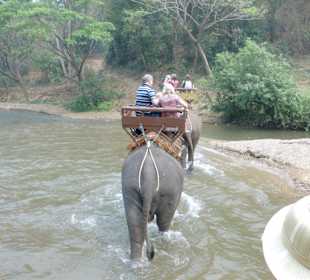 Elephanterreiten