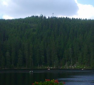 Blick vom Mummelsee