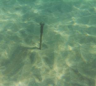 Alte Verankerung im Meer, im Badebereich
