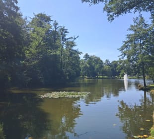  Molenvijverpark in Genk, Belgien 