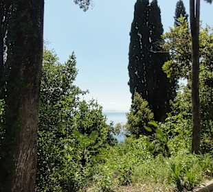 Im Mon Repos Park