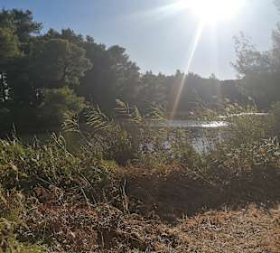Wandern Skiathos