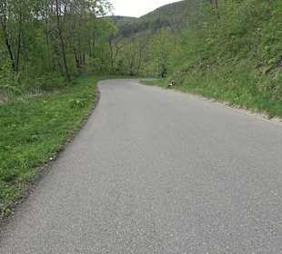 Wandertour durchs Reissenbachtal Oberhausen