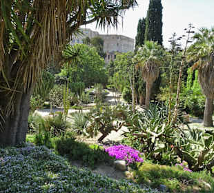 Rundgang durch den Botanischen Garten Cagliari