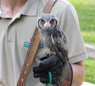 Wildparkimpressionen