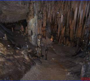 Grotte Cuevas del Drac