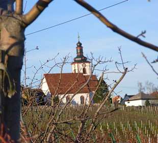 Blick über die Weinberge zur Kirche