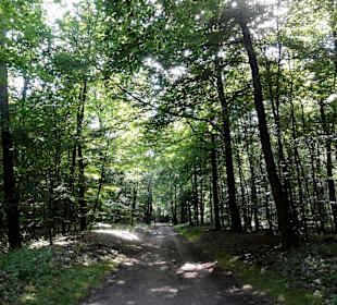 Impressionen aus dem Stadtwald Verden