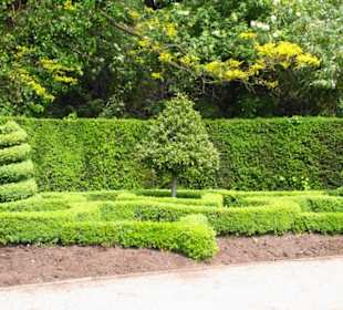 Regent´s Park Impressionen