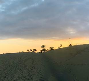 Dünen von Maspalomas