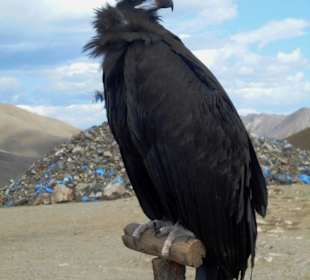 Auf dem Weg zum Gorkhi Terelj Nationalpark