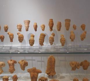 Females and men's hairstyles 