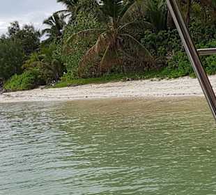 Animiert nicht zum Baden