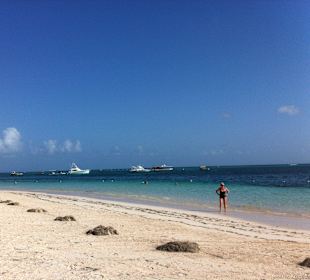 Palmenloser Strandabschnitt