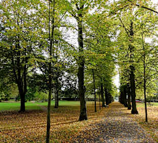 Allee im Schlosspark Rotenburg