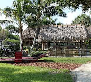 Airboat  zum Fotografieren im Gator Park