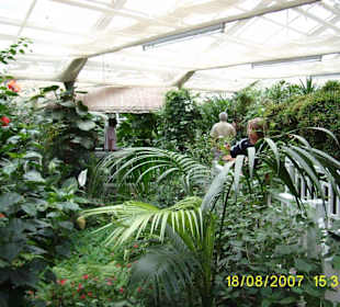 Schmetterlingsgarten im Schlosspark Sayn