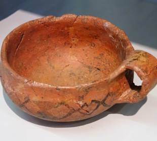 Fundstücke aus der Region im Heimatmuseum