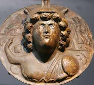 Eine teuere Abdeckung eines Kampfschildes