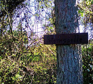 Panoramaweg Sankt Wendeler Land in Nonnweiler