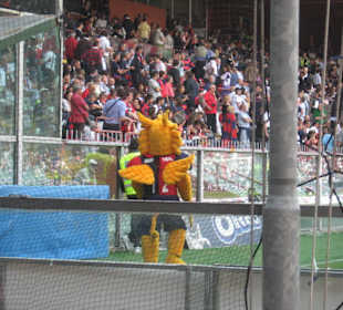 Genoa, Mascotte in campo