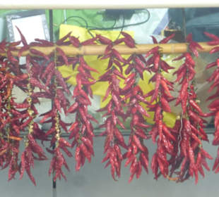 Bummel durch die Markthalle von Loulé