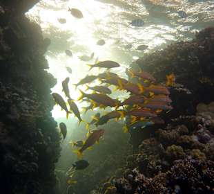 Direkt unterhalb des Stegs