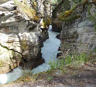 Athabasca Falls