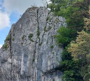 Naturschutzgebiet Donau Enge