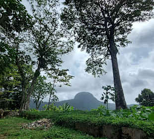 Parque Natural Obô do Príncipe