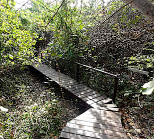 Spaziergang durch den Hòfi Pastor Park