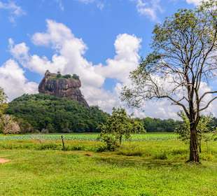 Sigiriya Felsen
