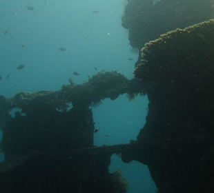 Die Überreste der Liberty