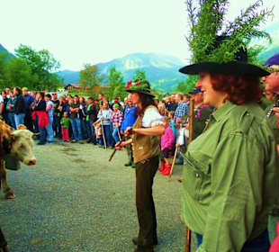 Alpabtrieb / Au / Vorarlberg Österreich