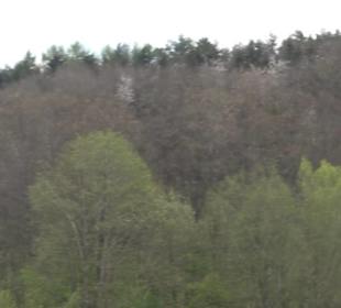 Martinsberg-Tour