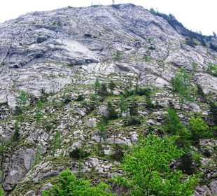Plöckenpass Wanderberg mit Bunkern