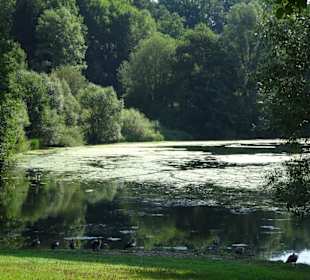 Badezone am Froschgrundsee