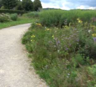 ALB-GOLD Naturgarten