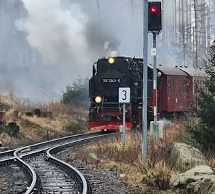 Wandern Bad Lauterberg
